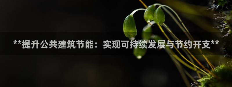 e尊国际官方网站：**提升公共建筑节能：实现可持续发展与节约开支**