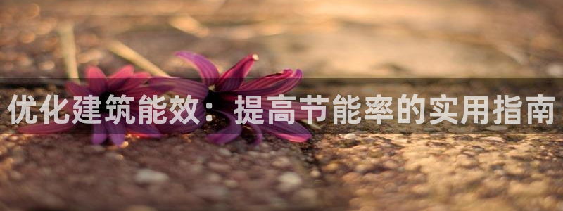 e尊国际客户端下载：优化建筑能效：提高节能率的实用指南