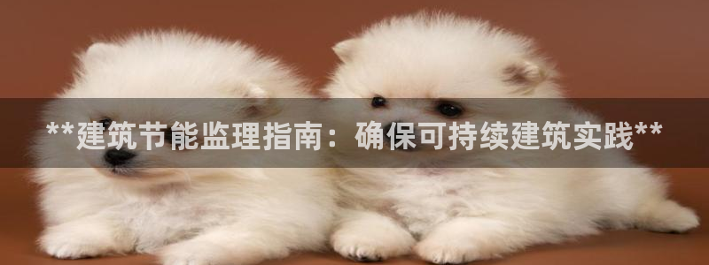 e尊国际平台：**建筑节能监理指南：确保可持续建筑实践**