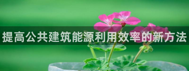 e尊国际7779：提高公共建筑能源利用效率的新方法