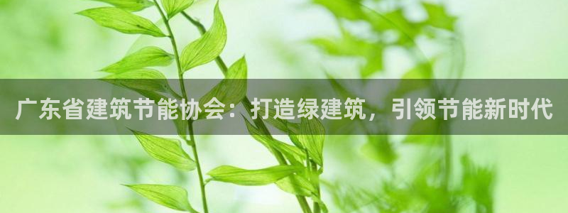 e尊国际是个黑网：广东省建筑节能协会：打造绿建筑，引领节能新时代