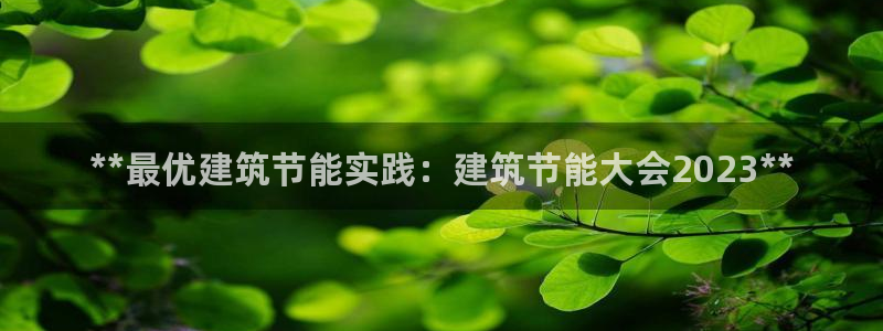 e尊国际官方网站：**最优建筑节能实践：建筑节能大会2023**