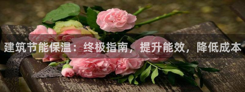 E尊国际：建筑节能保温：终极指南，提升能效，降低成本