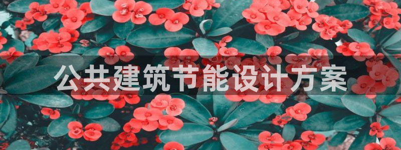 e尊电竞：公共建筑节能设计方案