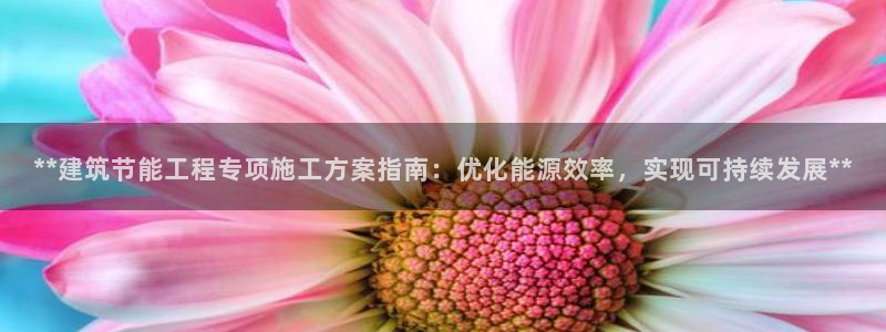 e尊官网：**建筑节能工程专项施工方案指南：优化能源效率，实现可持续发展**