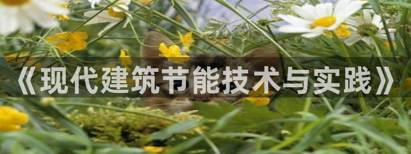 e尊国际可靠吗：《现代建筑节能技术与实践》
