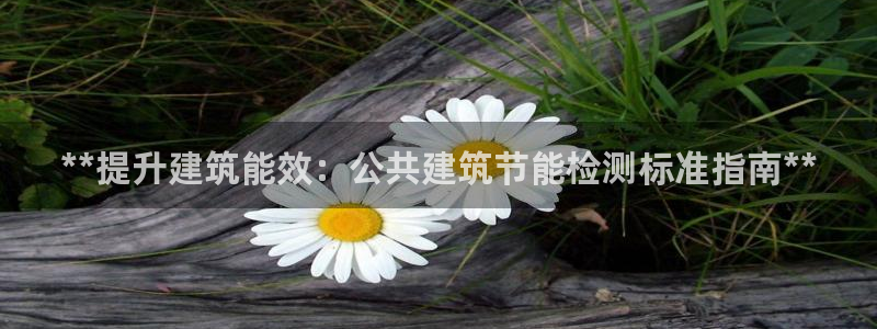 e尊国际地址：**提升建筑能效：公共建筑节能检测标准指南**