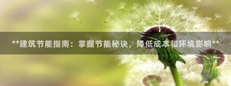 E尊国际网站：**建筑节能指南：掌握节能秘诀，降低成本和环境影响**