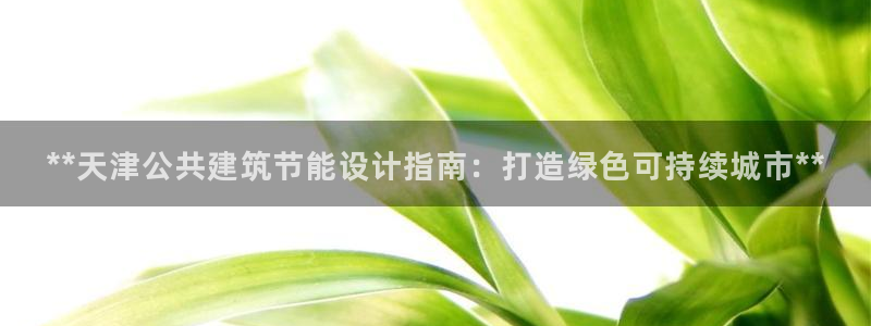e尊平台：**天津公共建筑节能设计指南：打造绿色可持续城市**
