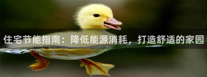 e尊国际7779：住宅节能指南：降低能源消耗，打造舒适的家园