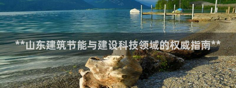尊亿娱乐国际官网：**山东建筑节能与建设科技领域的权威指南**