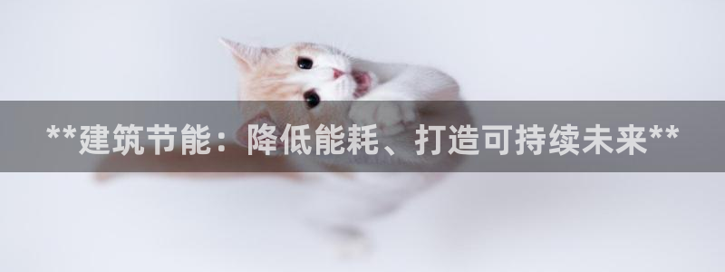 e尊国际可靠吗：**建筑节能：降低能耗、打造可持续未来**