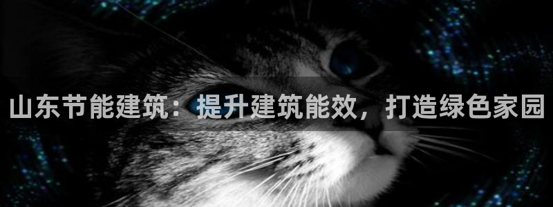 e尊国际app：山东节能建筑：提升建筑能效，打造绿色家园