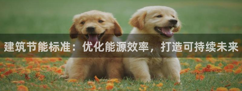 e尊国际-可可计划：建筑节能标准：优化能源效率，打造可持续未来