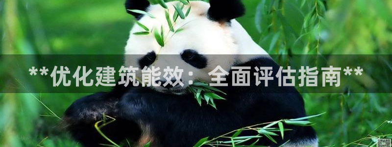 e尊国际-e尊国际官网：**优化建筑能效：全面评估指南**