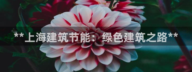 e尊国际-e尊国际官网：**上海建筑节能：绿色建筑之路**