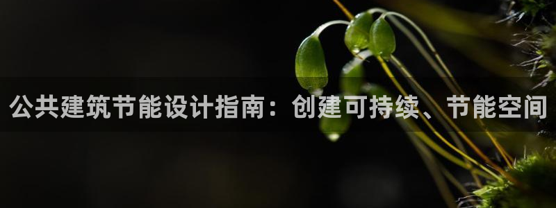 e尊官网：公共建筑节能设计指南：创建可持续、节能空间