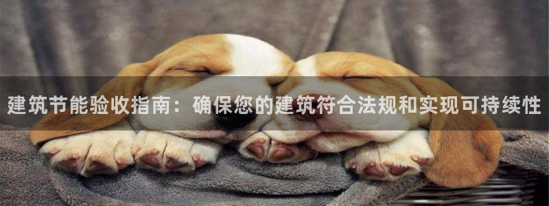 e尊国际是个黑网：建筑节能验收指南：确保您的建筑符合法规和实现可持续性
