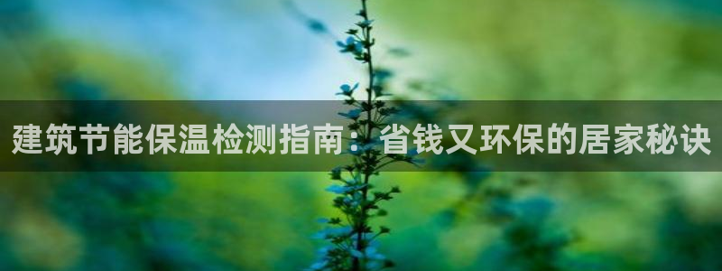 谁知道e尊国际的网址：建筑节能保温检测指南：省钱又环保的居家秘诀