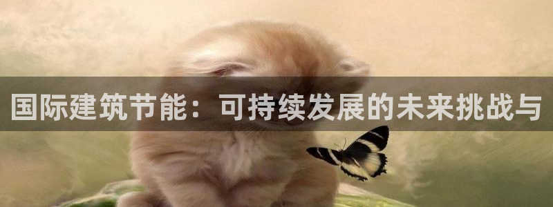 e尊国际app：国际建筑节能：可持续发展的未来挑战与