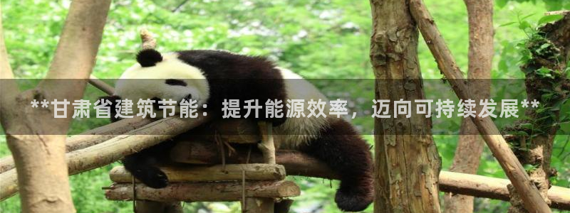 e尊国际平台：**甘肃省建筑节能：提升能源效率，迈向可持续发展**