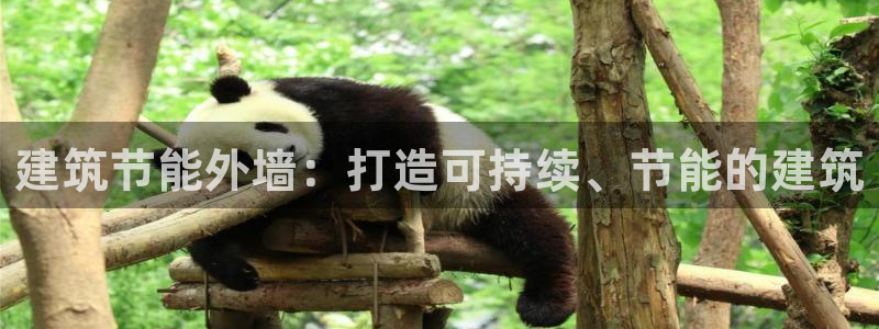 e尊国际app：建筑节能外墙：打造可持续、节能的建筑