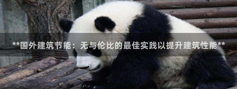 e尊国际娱乐官网地址：**国外建筑节能：无与伦比的最佳实践以提升建筑性能**