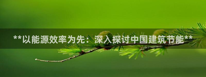 e尊国际官网app：**以能源效率为先：深入探讨中国建筑节能**