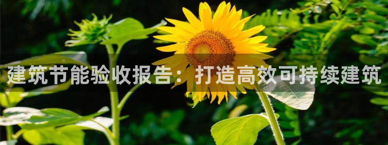 e尊平台：建筑节能验收报告：打造高效可持续建筑