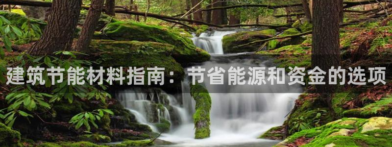 E尊国际网站：建筑节能材料指南：节省能源和资金的选项