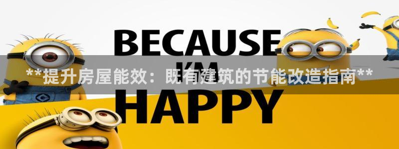 e尊国际app：**提升房屋能效：既有建筑的节能改造指南**