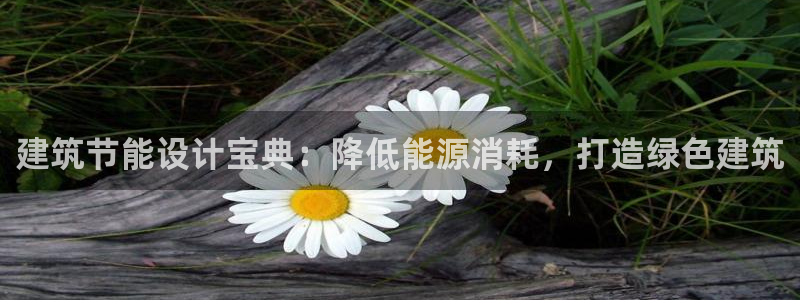 E尊国际网站：建筑节能设计宝典：降低能源消耗，打造绿色建筑