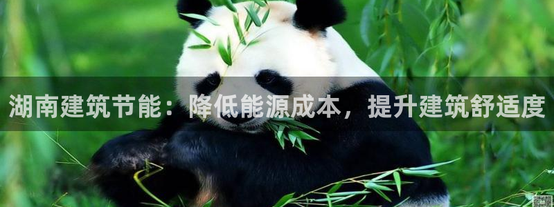 e尊电竞：湖南建筑节能：降低能源成本，提升建筑舒适度