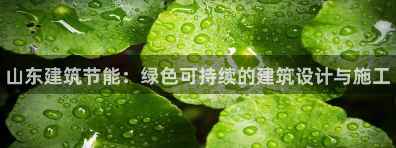 e尊国际是个黑网：山东建筑节能：绿色可持续的建筑设计与施工