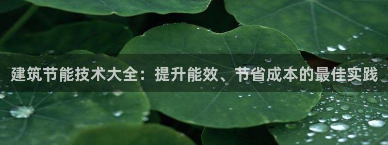 E尊国际网站：建筑节能技术大全：提升能效、节省成本的最佳实践