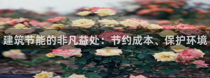 e尊国际的手机登录网站：建筑节能的非凡益处：节约成本、保护环境