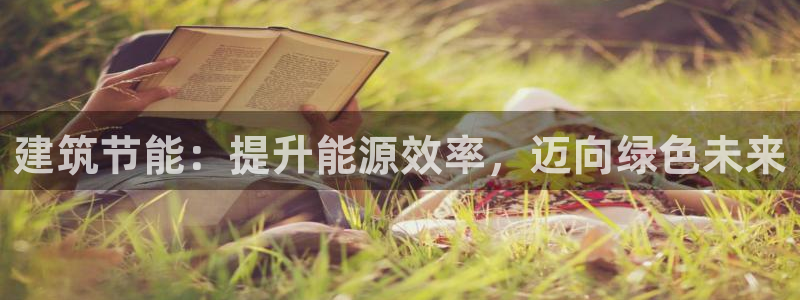 e尊国际官网·网址：建筑节能：提升能源效率，迈向绿色未来