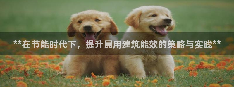 谁知道e尊国际的网址：**在节能时代下，提升民用建筑能效的策略与实践**