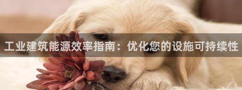 e尊国际-可可计划：工业建筑能源效率指南：优化您的设施可持续性