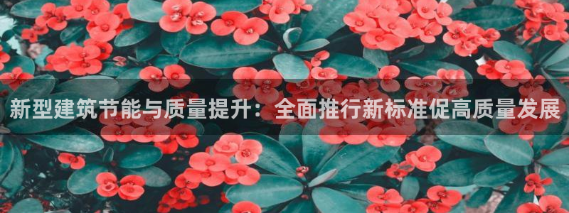 e尊国际官网·网址：新型建筑节能与质量提升：全面推行新标准促高质量发展