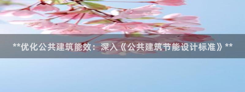 e尊国际是干什么的：**优化公共建筑能效：深入《公共建筑节能设计标准》**
