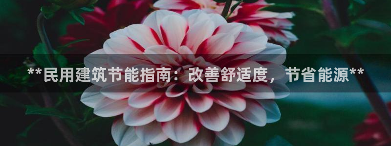 e尊国际-e尊国际官网：**民用建筑节能指南：改善舒适度，节省能源**