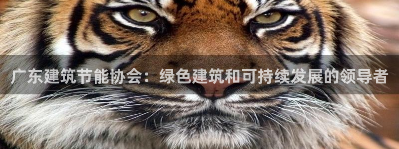 e尊体育：广东建筑节能协会：绿色建筑和可持续发展的领导者