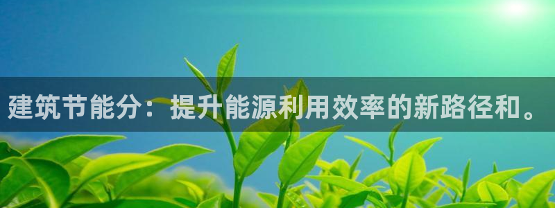 e尊电竞：建筑节能分：提升能源利用效率的新路径和。