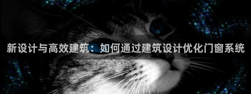 e尊国际客户端：新设计与高效建筑：如何通过建筑设计优化门窗系统