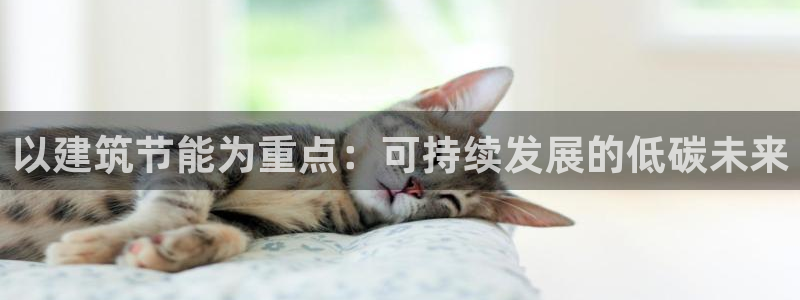 e尊国际地址：以建筑节能为重点：可持续发展的低碳未来