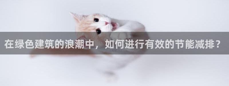 e尊国际客服