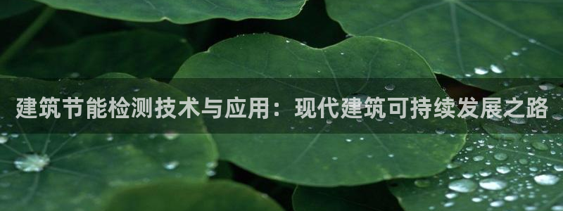 e尊国际官网·网址：建筑节能检测技术与应用：现代建筑可持续发展之路
