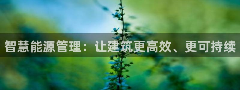 e尊国际平台：智慧能源管理：让建筑更高效、更可持续