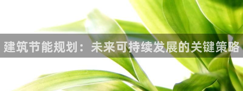 e尊国际官网：建筑节能规划：未来可持续发展的关键策略
